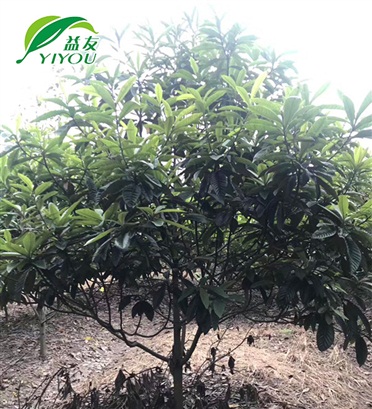 EPE珍珠棉異型材